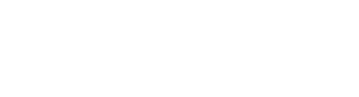 sonikpl-retina